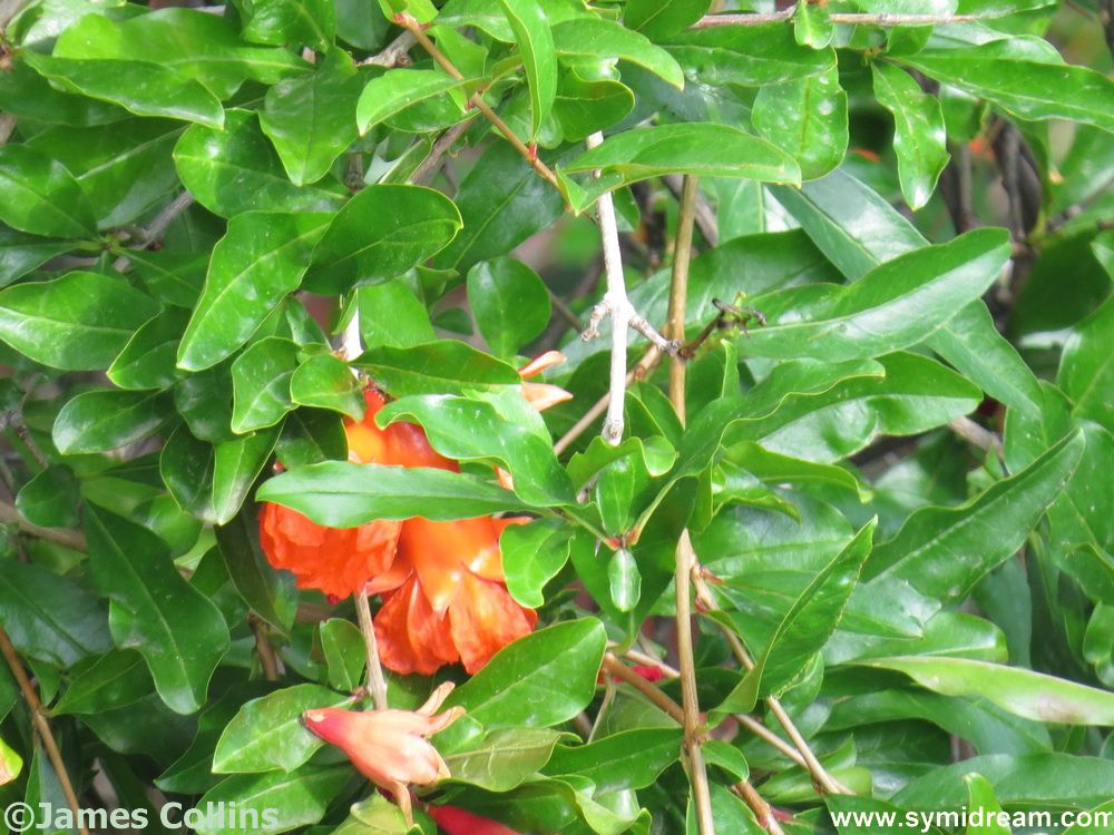 Still in pre-travel mode