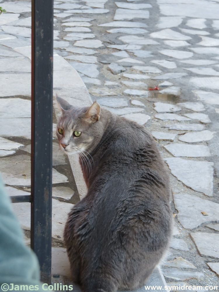 Symi Greece Symi Dream photos