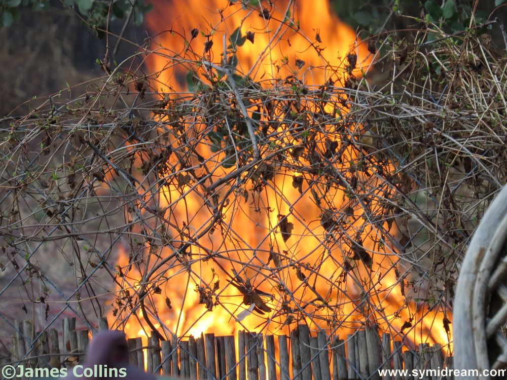 Symi Greece Symi Dream photos