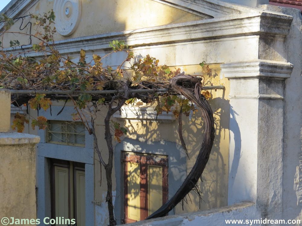 Symi Greece Symi Dream photos