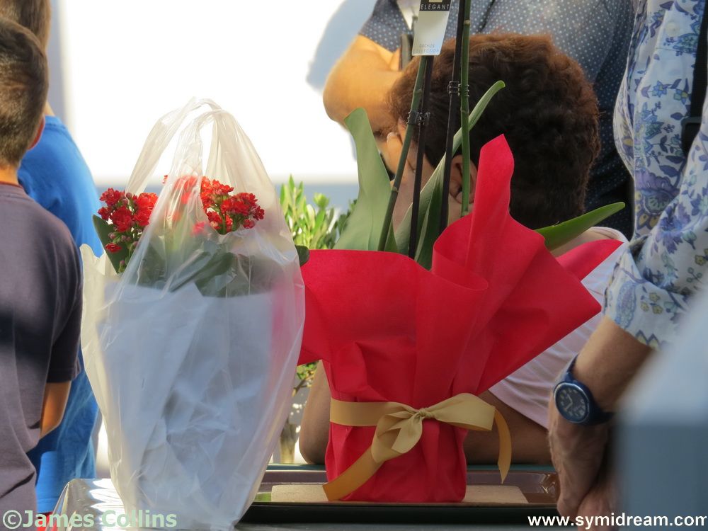 Symi Greece Symi Dream photos