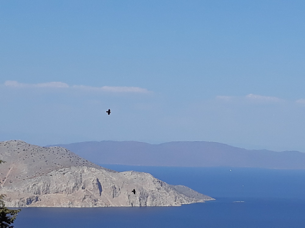 Those black dots are ravens.