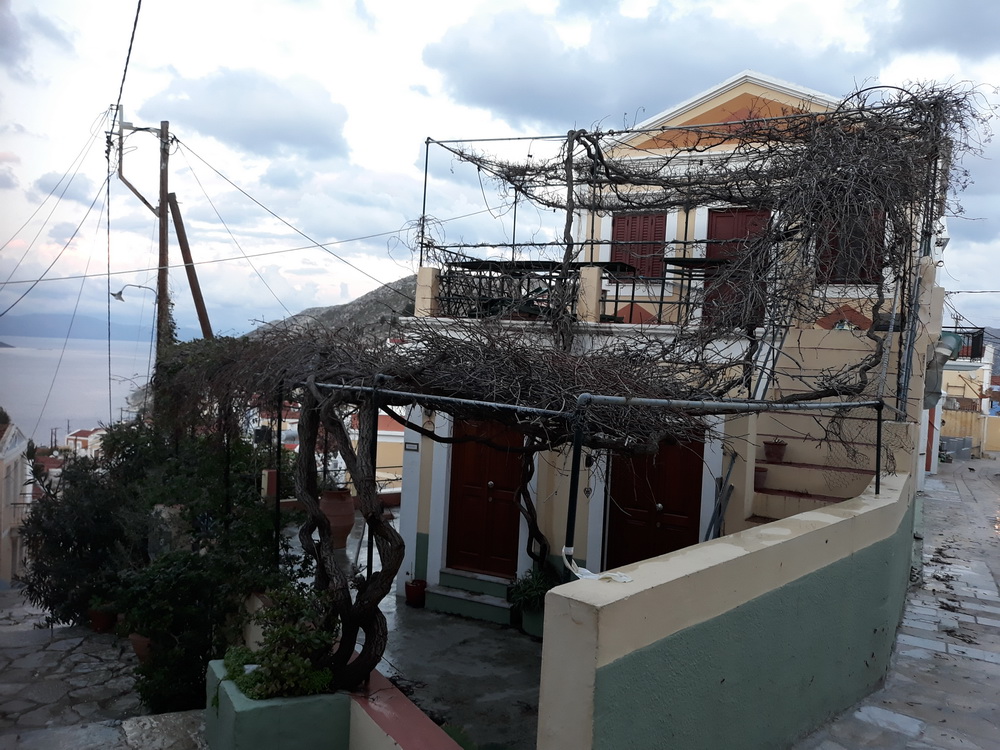 The Olive Tree in winter mode.