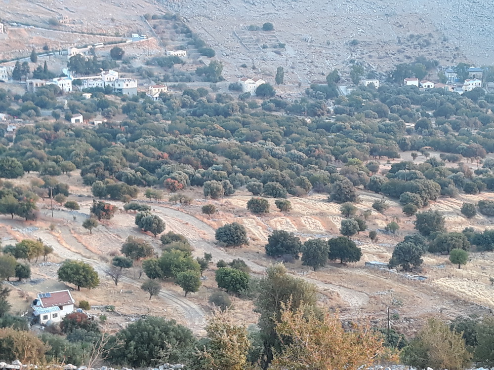 Patterns of planting (?) in the Pedi valley