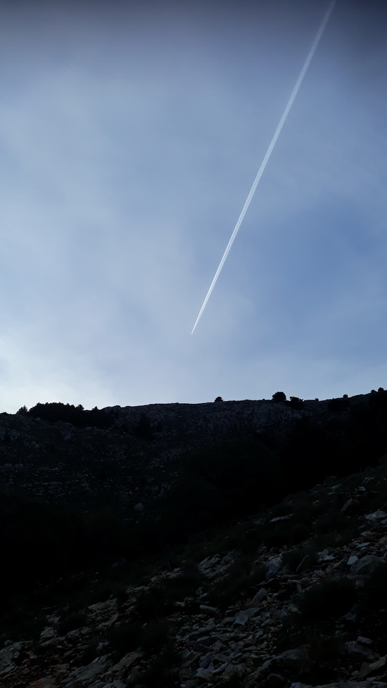 Don't see many of these at the moment.