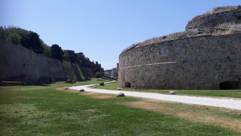 View from beneath a palm tree.