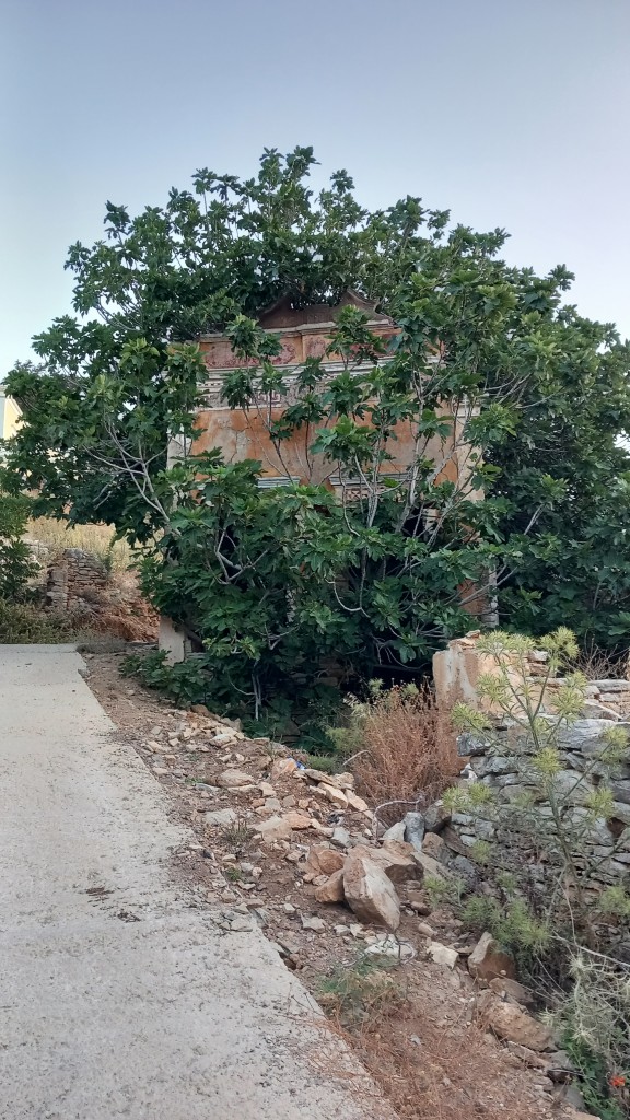 Another view in the village