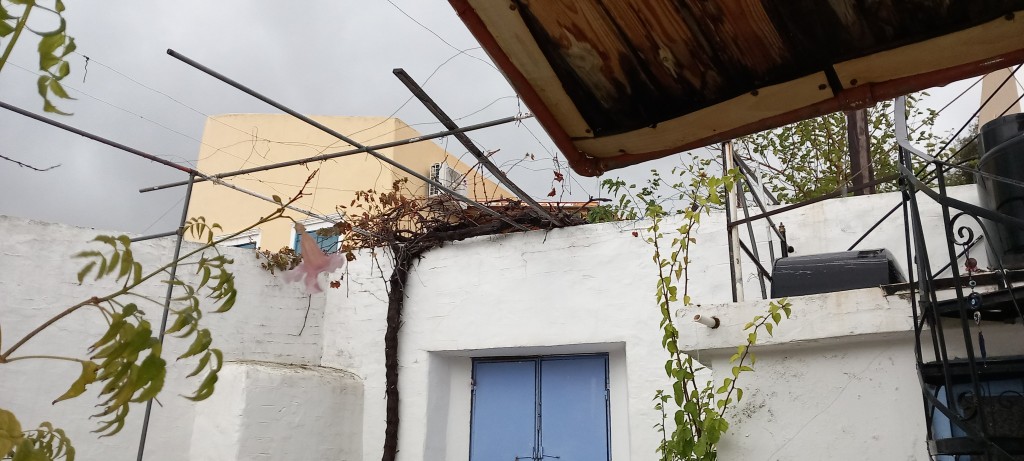 You can't really make out from this how wet and wild yesterday was. But it was.