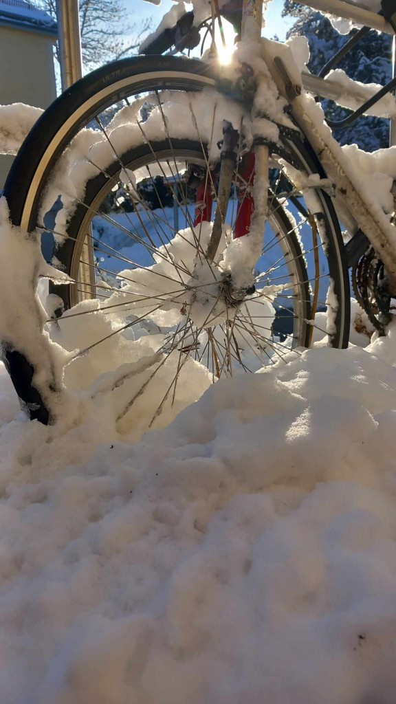 398370157_388254243636565_8857641377122600726_n