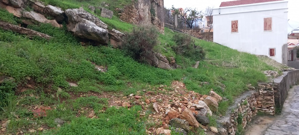 IT's that fgreen time fo year.