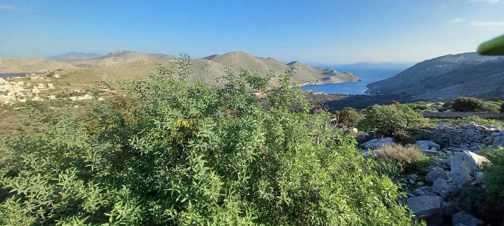 And from two days ago.