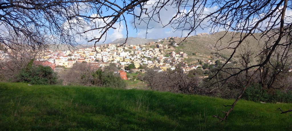 Three random spring photos today