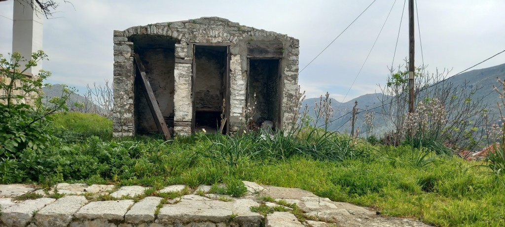 Not photo of the spider, but here's one of the long-abandoned neighbourhood toilets in horio.