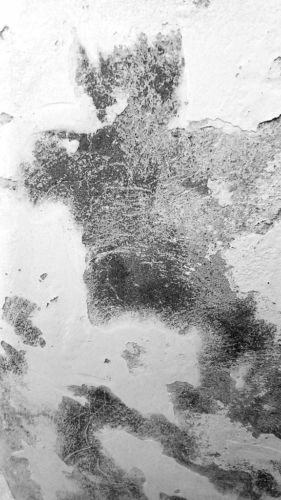 received_1510721829860292