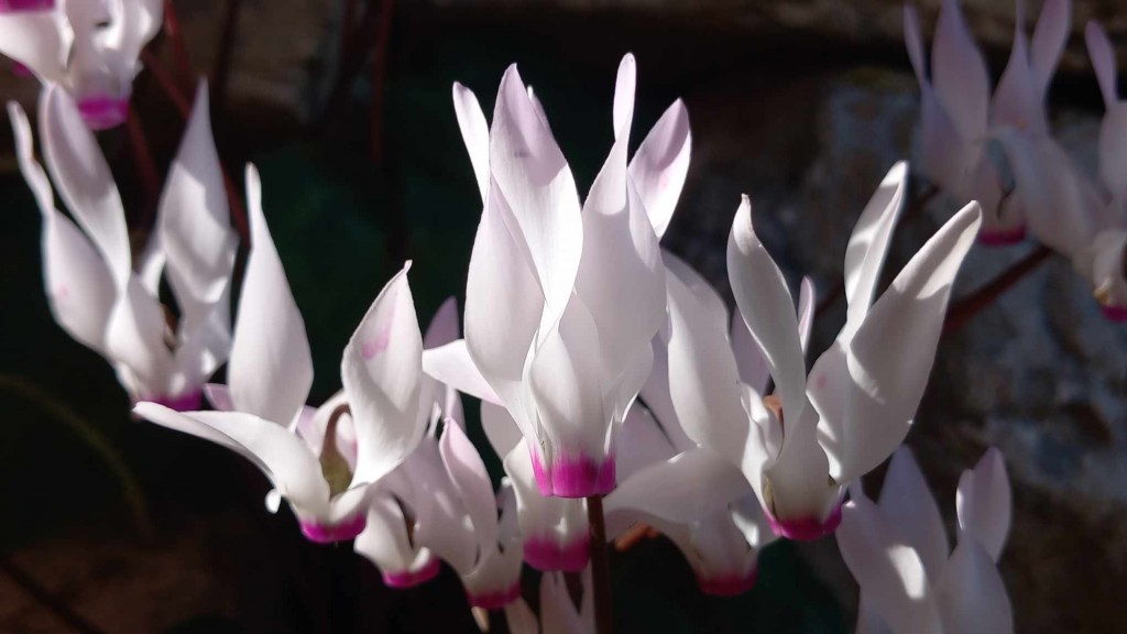 19f08f79-2144-43b9-bd77-0596826785ff