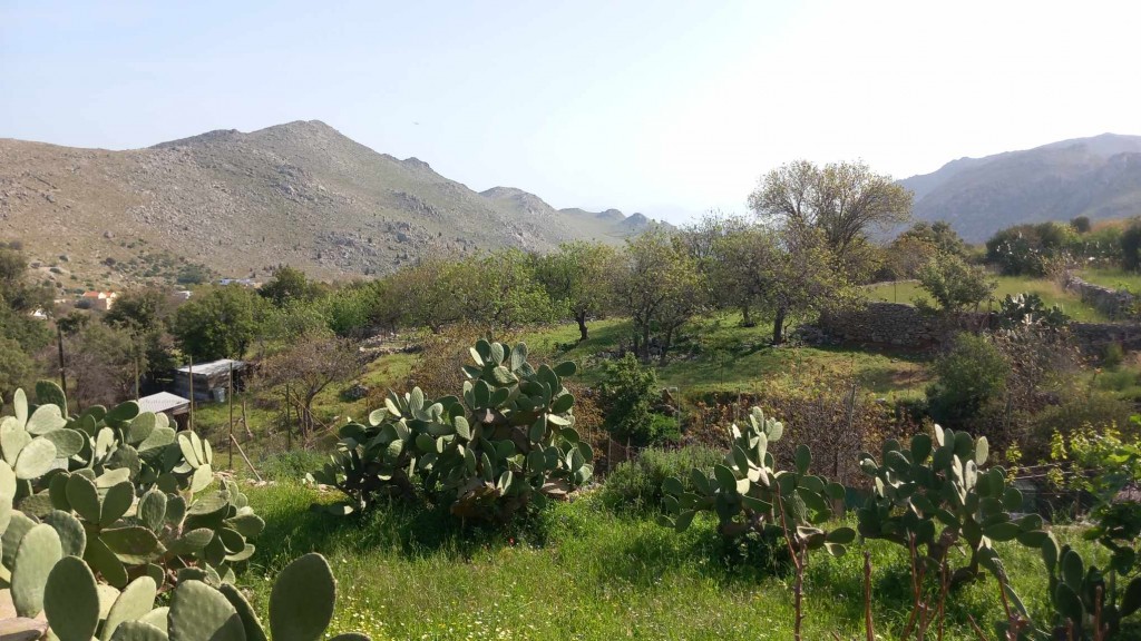 2f4ec8bd-6220-43b4-bcfe-a24fe5e2a31e