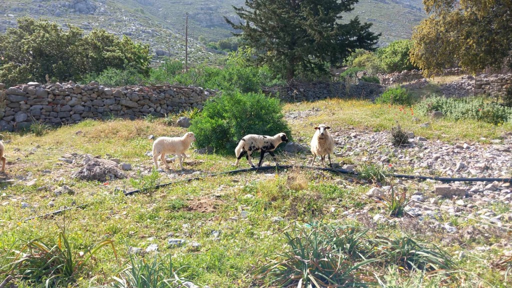 3efa5a96-d62b-488b-a340-18f614612829