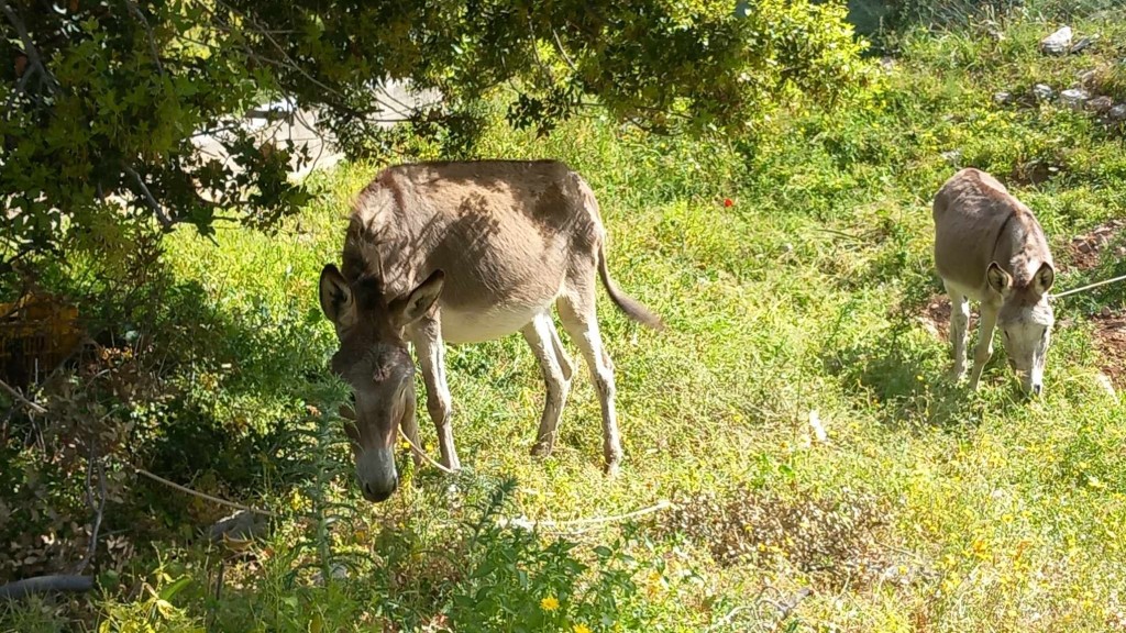 5b3dd0e0-8b0f-4c92-975c-d262487a8098