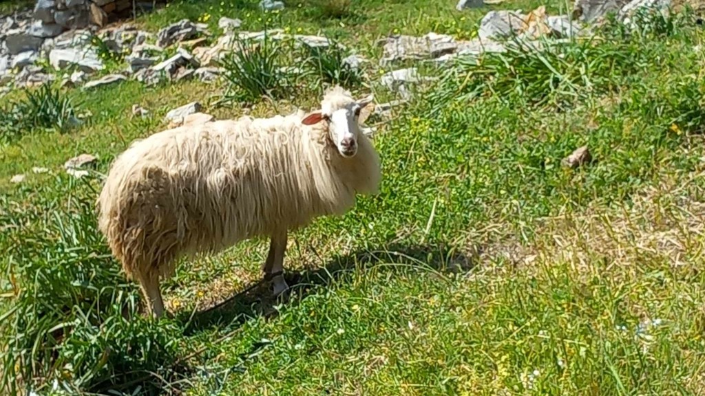 8542f7f3-6370-46c7-ac9a-c837bad8c971