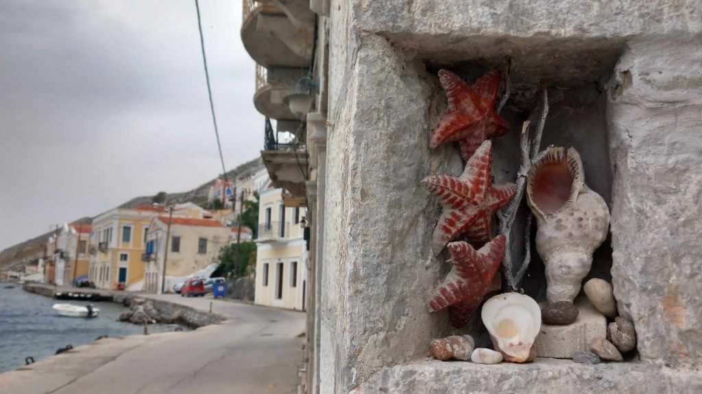 One of Neil's arty shots from the otehr day.