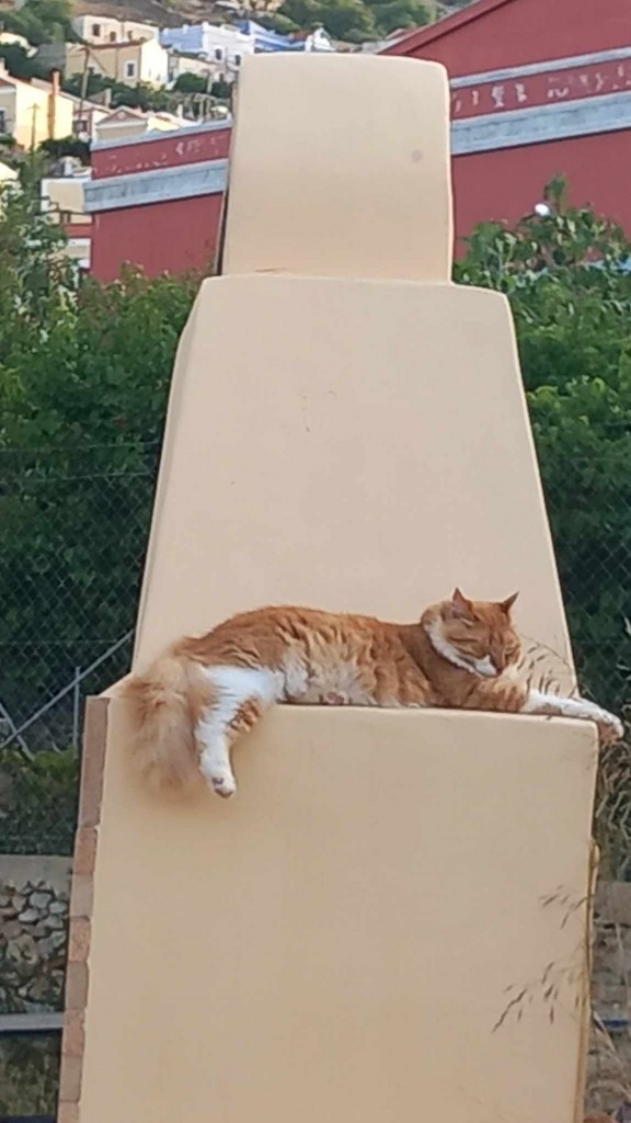 A cat after my own heart