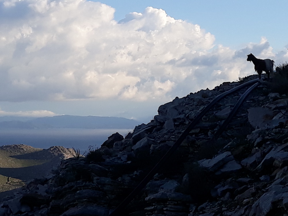 Classic Greek island view